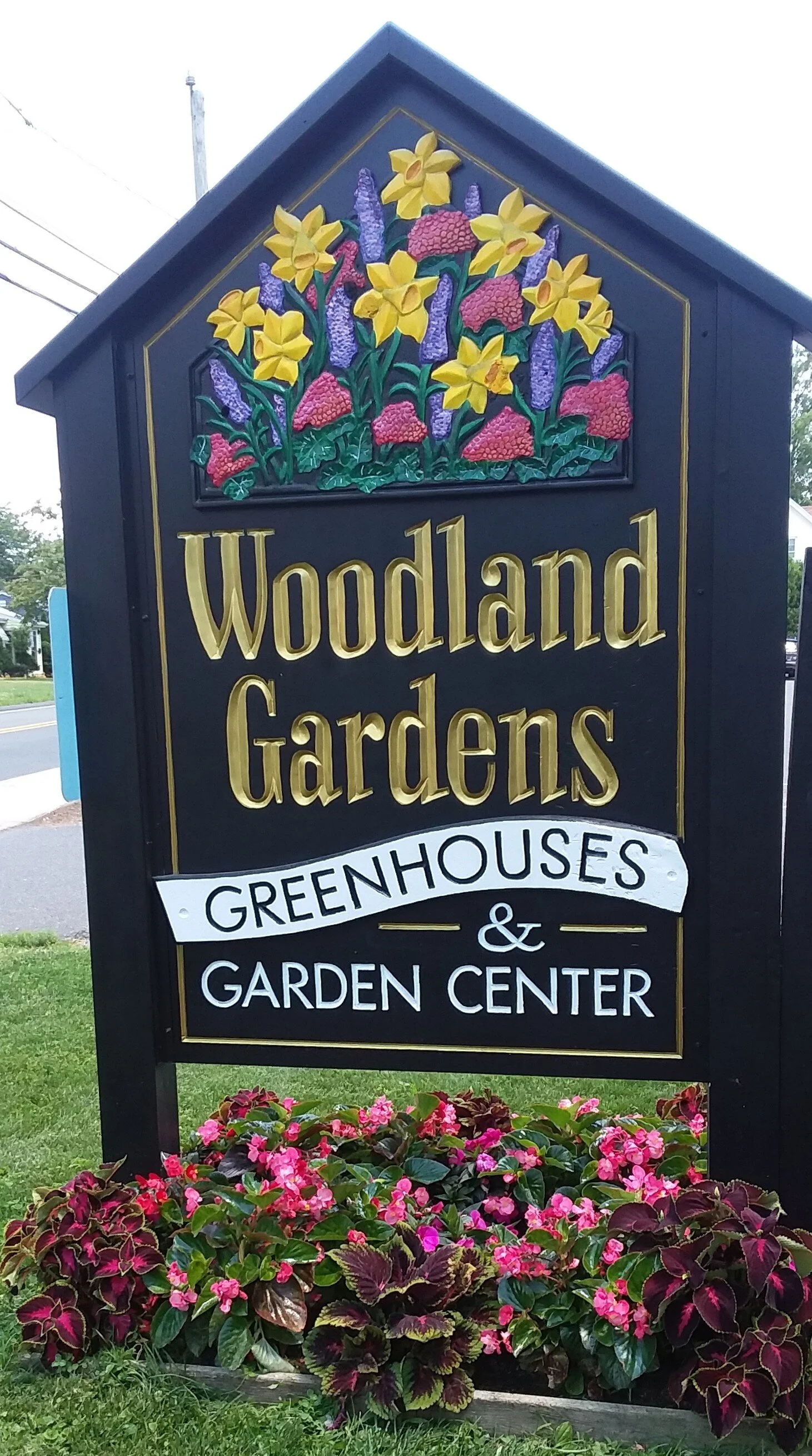 Woodland Gardens
